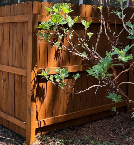 Premium Log 1 Coat - 5 Gal - FREE SHIPPING Sundance