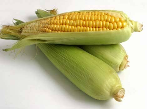 Corn Cob Media