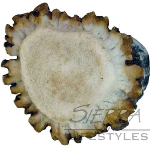 Deer Burr Knob - Blank (Heart Shaped) Western Log Home Supply