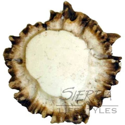 Deer Burr Knob - Blank (Round) Western Log Home Supply