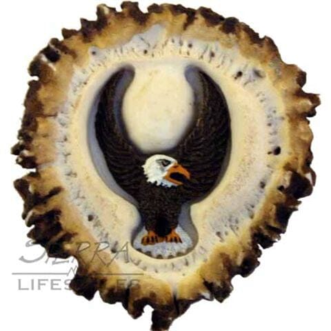 Deer Burr Knob - Eagle Front Western Log Home Supply